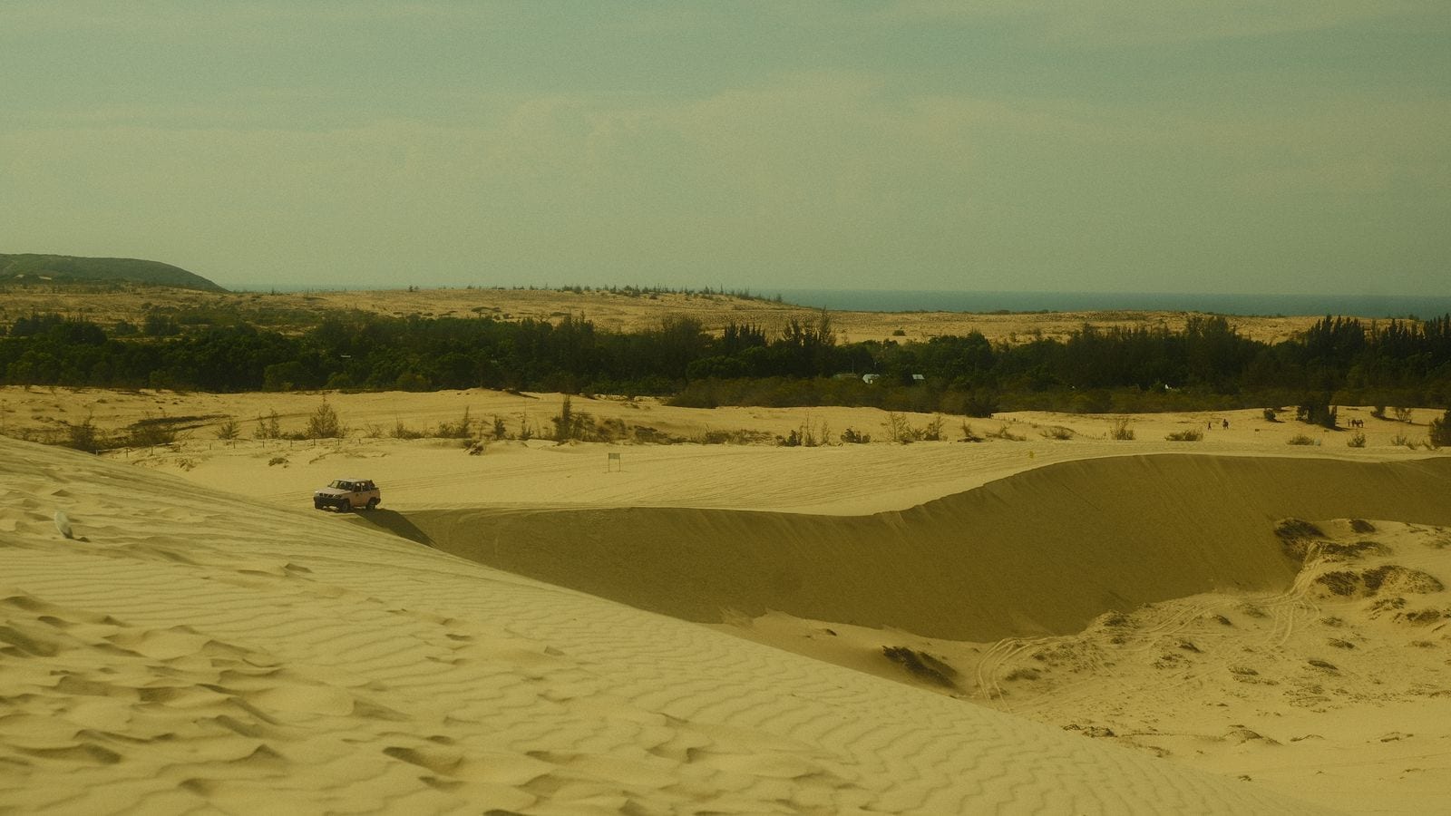 A jeep parked on the crest of a pale sand dune, tyre tracks looping across the sand and a belt of pines with the sea behind