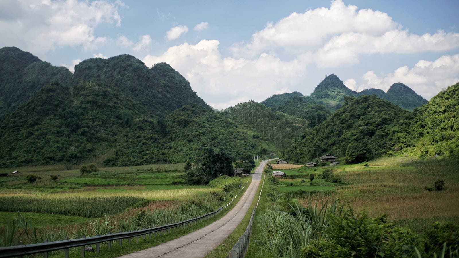 A narrow concrete road running between maize terraces towards forested limestone peaks