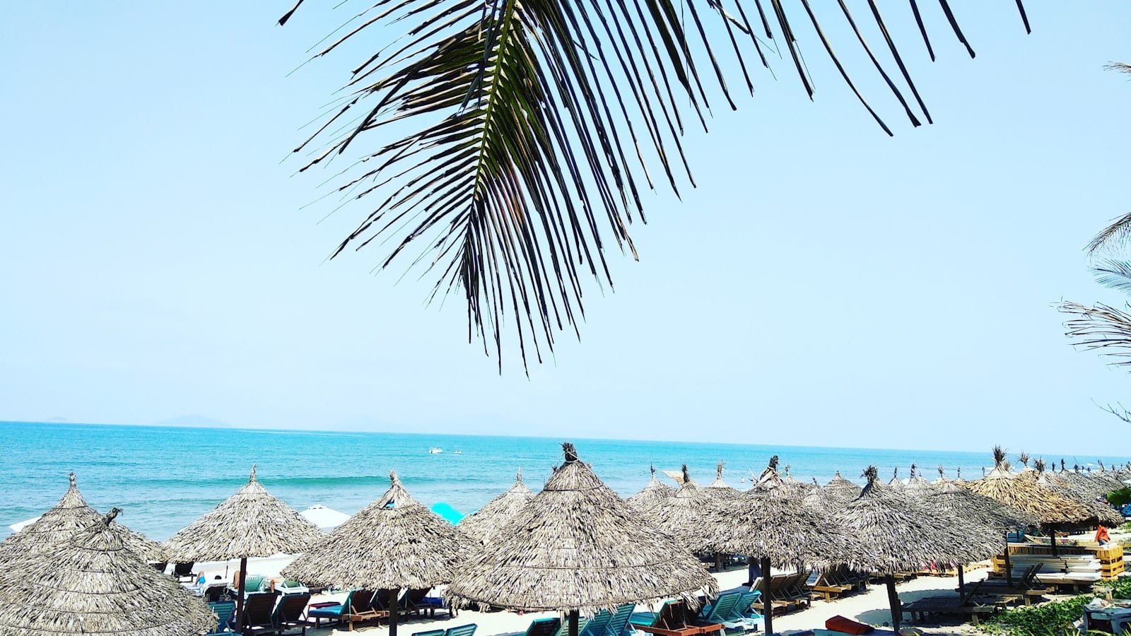 Thatched umbrellas and loungers on a beach under a palm frond, calm blue sea beyond