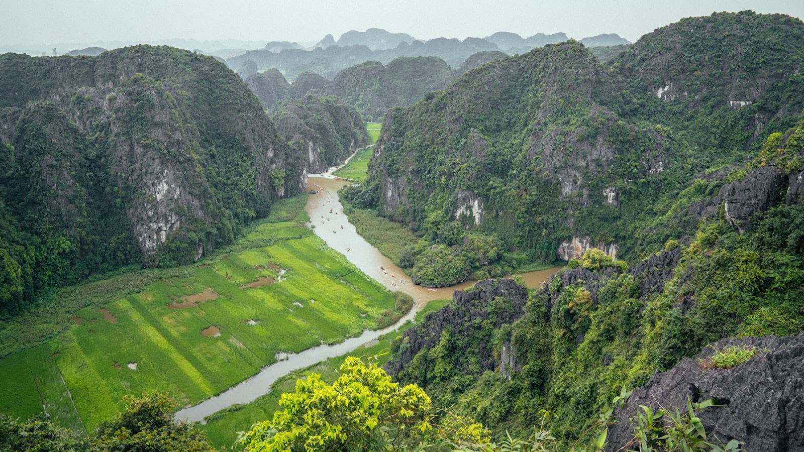 The Ngo Dong river winding between forested limestone peaks past bright green rice paddies, small boats strung out along the brown water