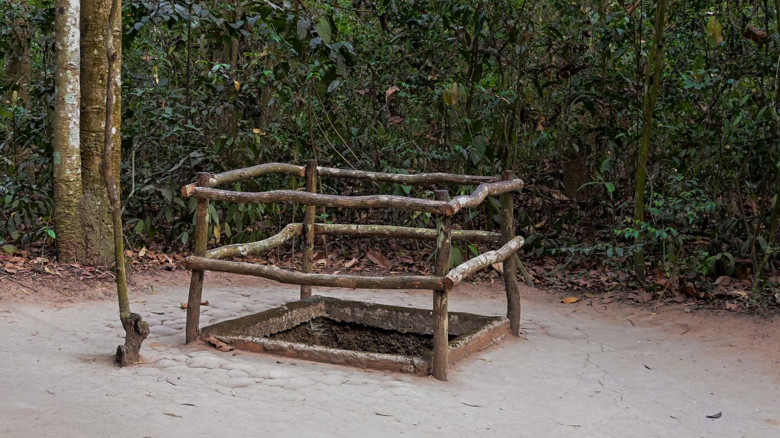 A square tunnel opening set into the forest floor, fenced with a rail of rough branches, dry leaves and bare earth all round it