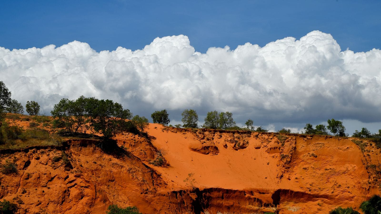 A wall of orange sandstone eroded into gullies and hollows, scrub and small trees along the top of it under a bank of white cloud