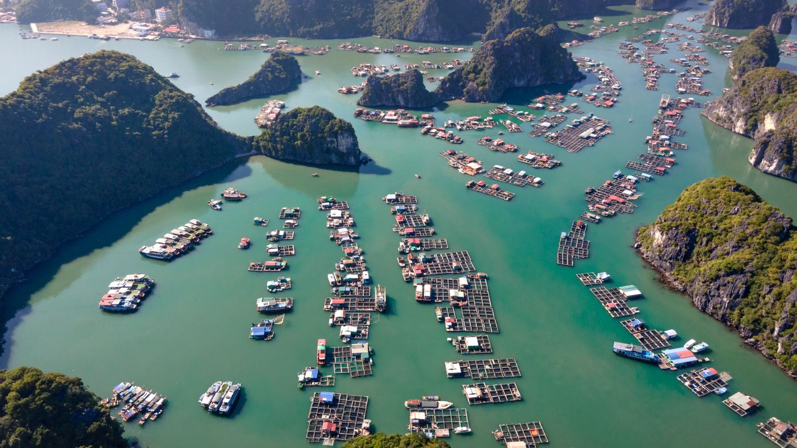 Floating fish farms strung in lines between limestone islands, rafts of net cages with painted huts on them and a village on the shore behind