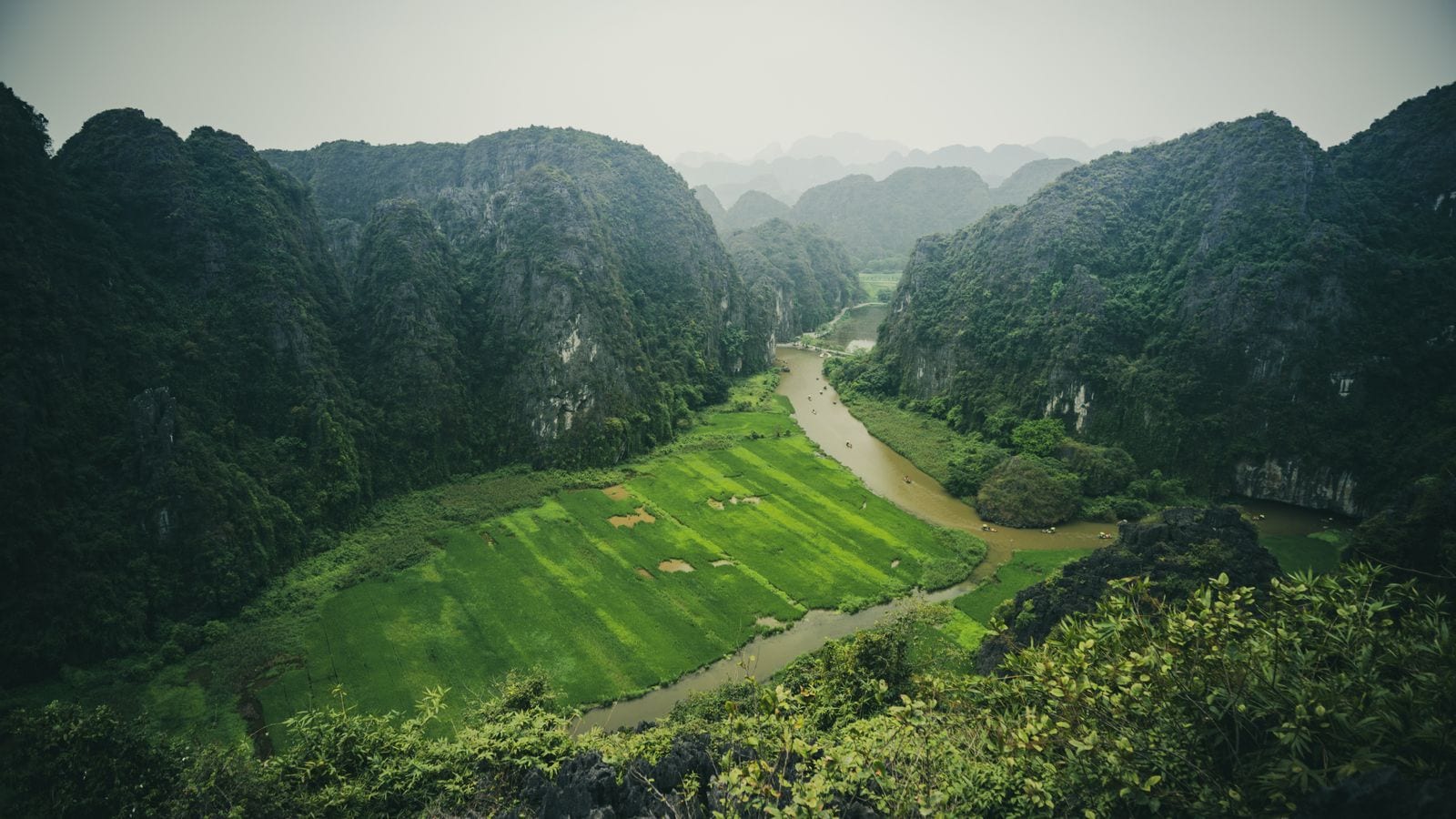 A river winding between limestone hills past a block of bright green paddy, rowing boats strung out along the water and more karst fading into haze behind