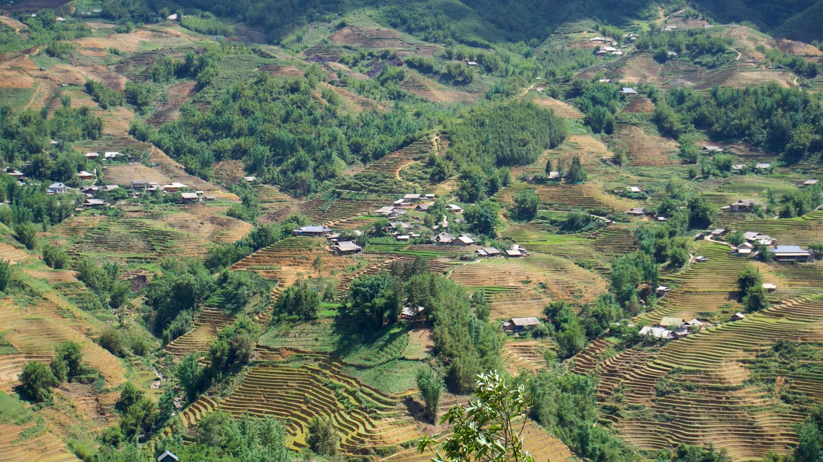 A valley cut into terraces from the river to the ridge line, timber hamlets standing in the middle of the fields and tracks running between them