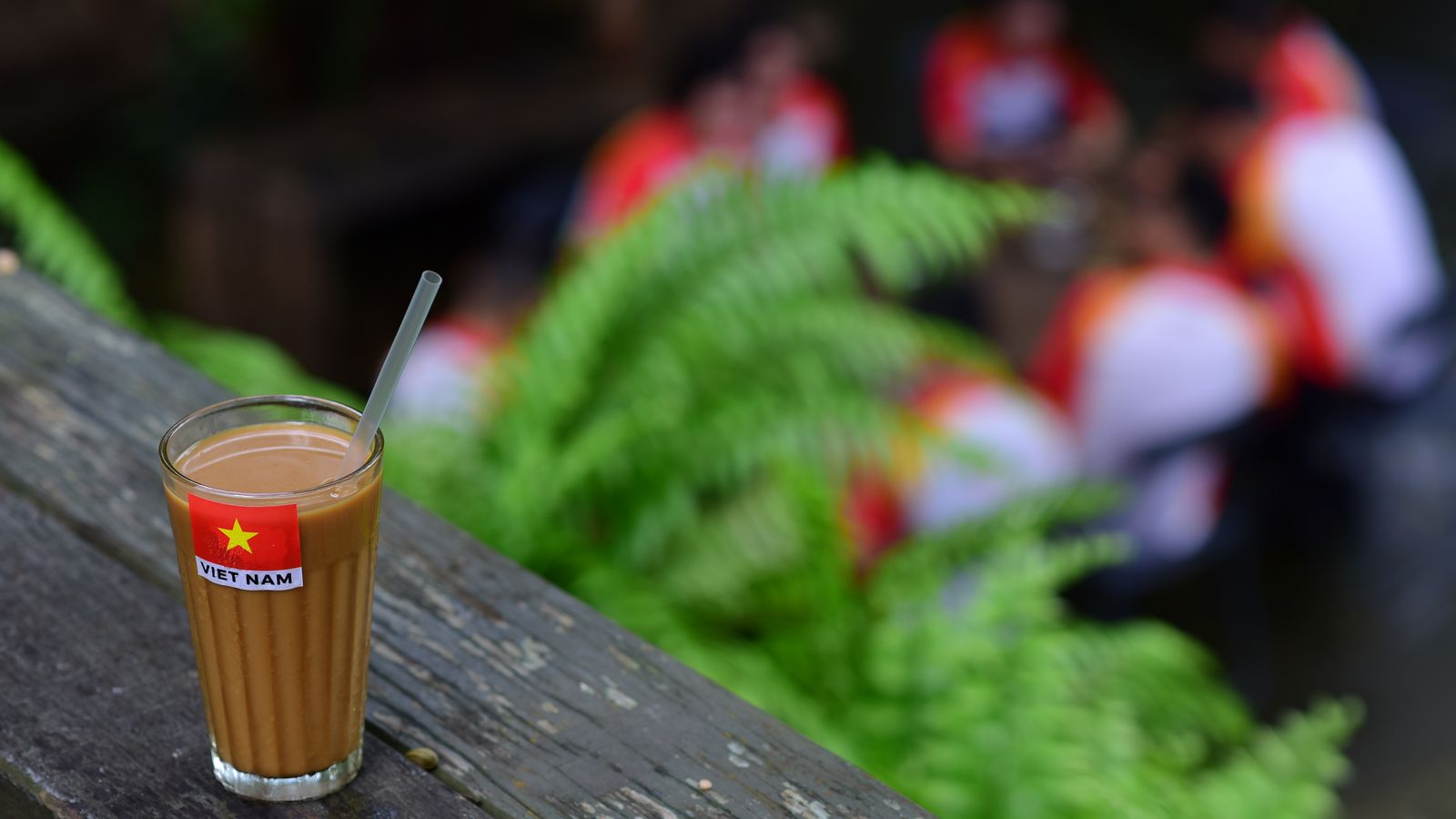 A tall glass of iced milk coffee with a straw in it, a small VIET NAM flag sticker on the side, standing on a wooden rail with ferns and a blurred group behind