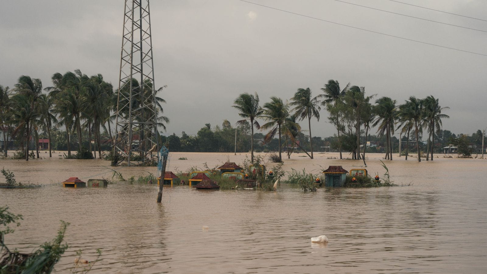 Brown floodwater standing across a whole valley floor, bent coconut palms and a pylon in the middle of it, with a row of painted family tombs submerged to their roofs