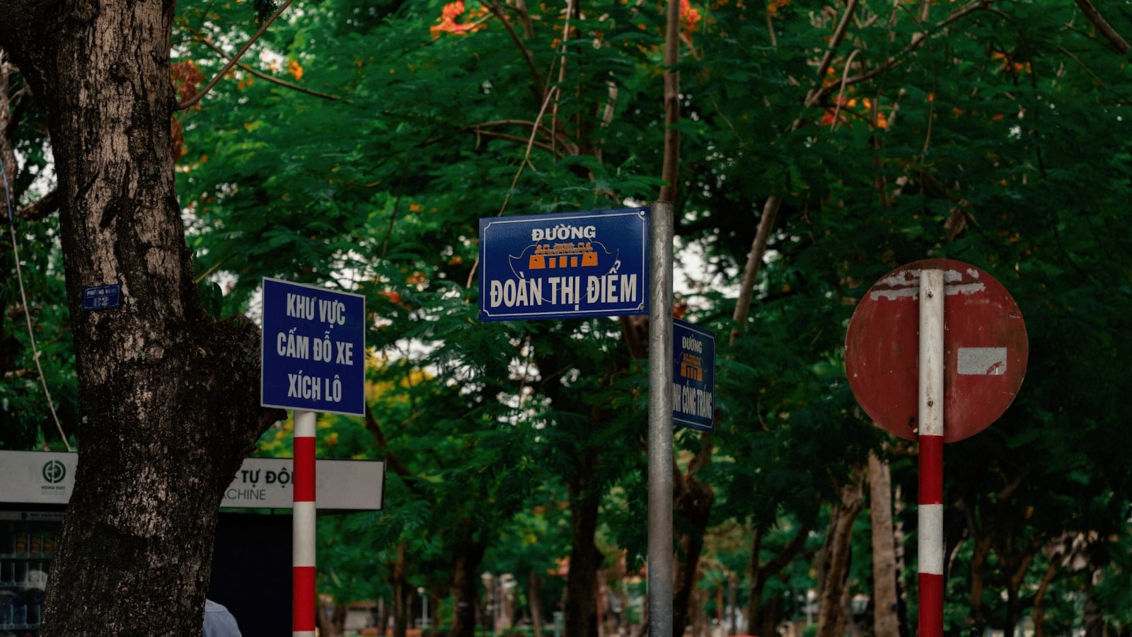 Blue Vietnamese street-name signs on poles under trees at a junction