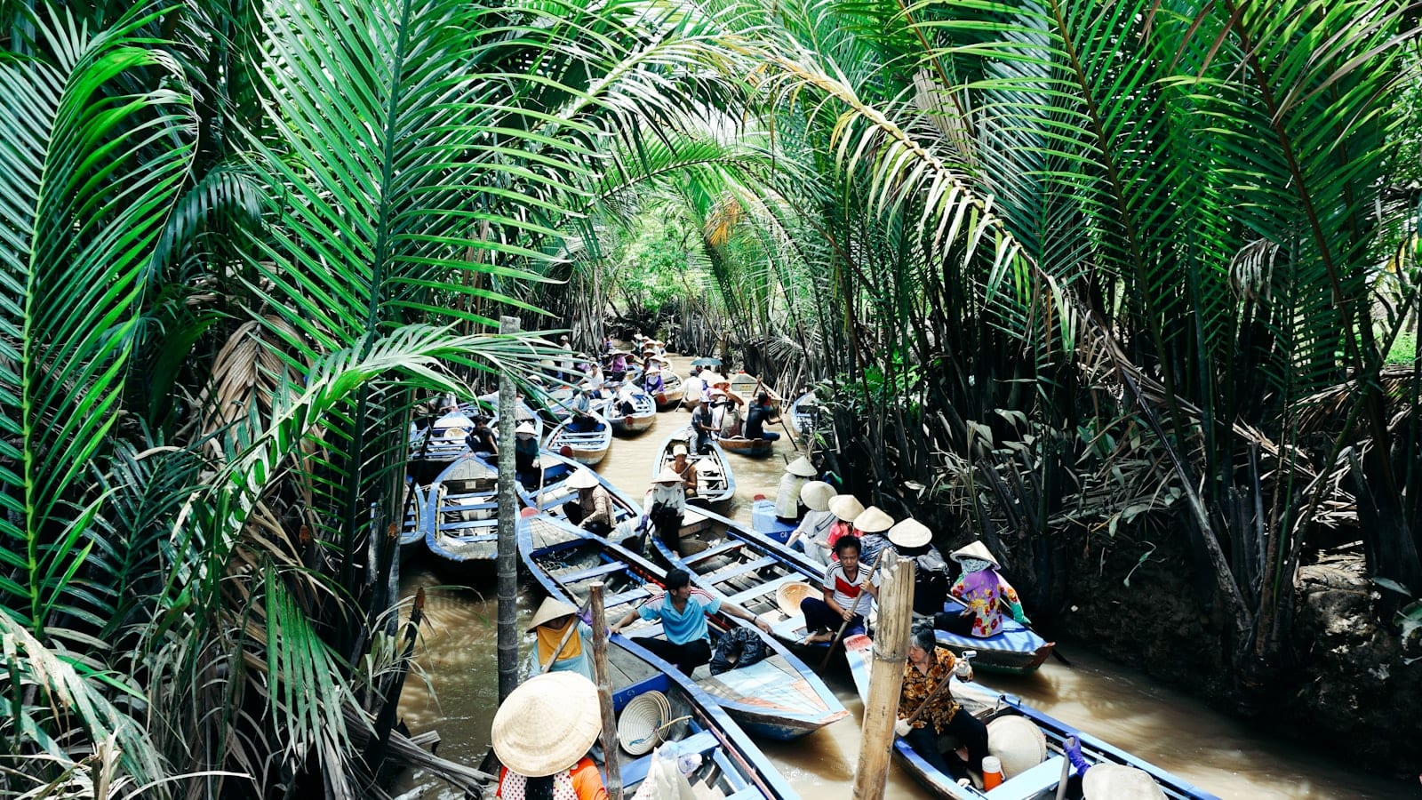 Blue wooden sampans queued nose to tail along a narrow brown canal, rowers in conical hats under arching nipa palm