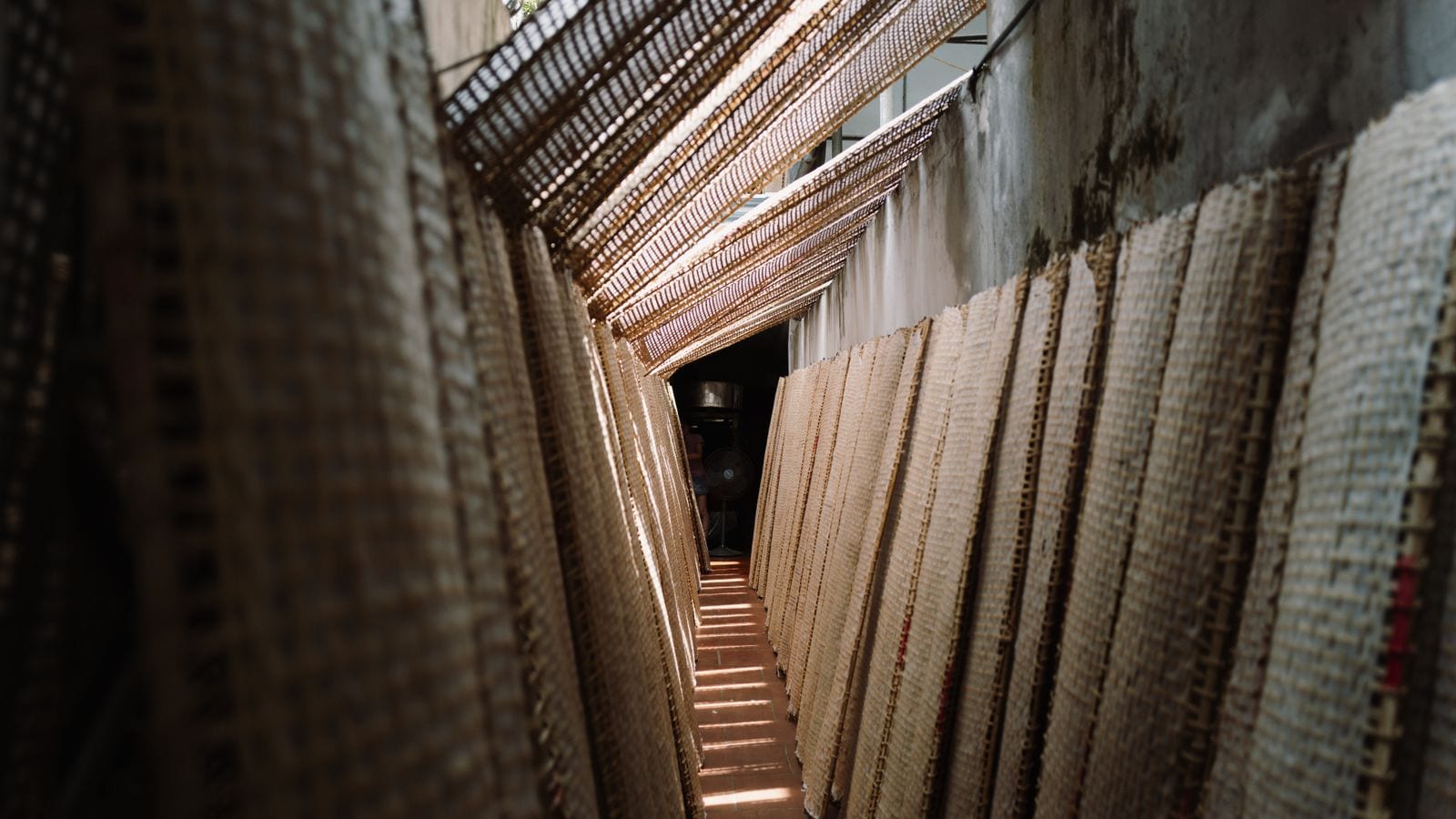 Sheets of rice paper drying on bamboo racks stood up along both sides of a narrow alley, leaving a path just wide enough to walk down